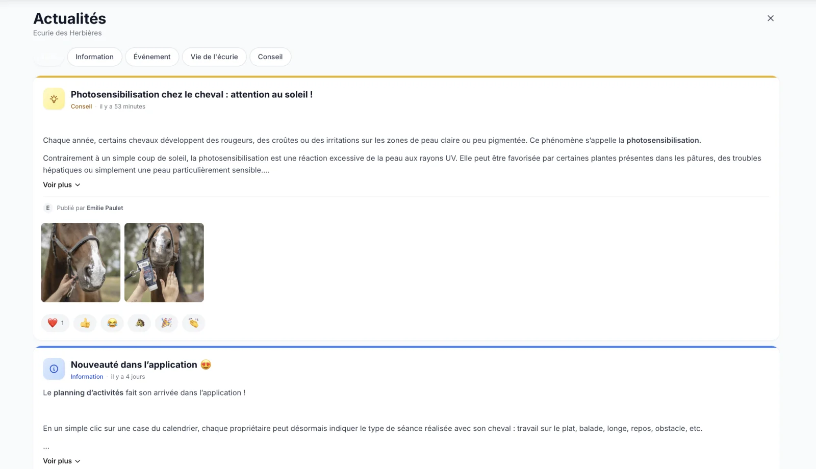 Schermafbeelding MY Kataklop — nieuwsoverzicht van de stal: dierenartsartikel over lichtgevoeligheid, planningnieuws, emoji-reacties