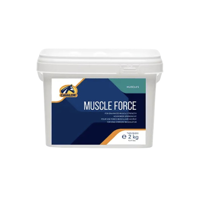 Muscle Force - 2 kg (Dispo:0)