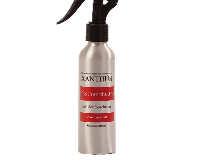 XANTHUS sos fourchettes - 150 ml (Dispo:0)