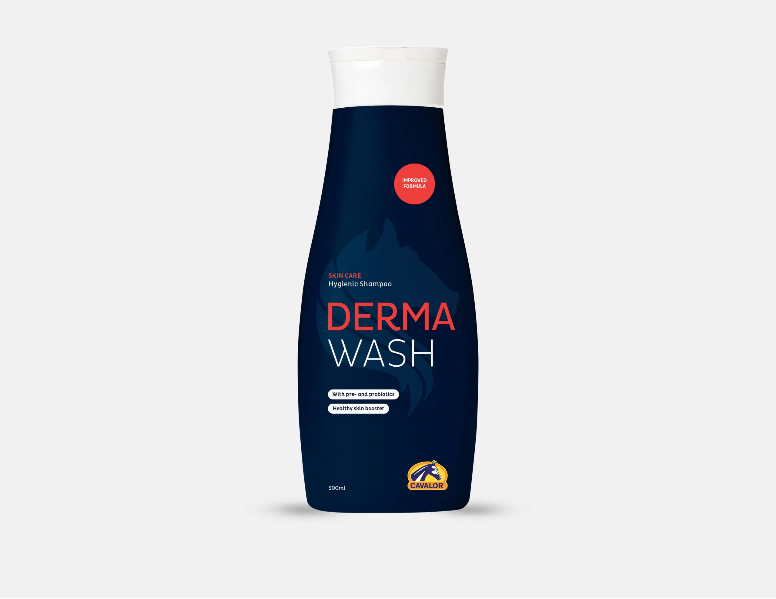 DermaWash+Pompe - 2 l (Dispo:0)