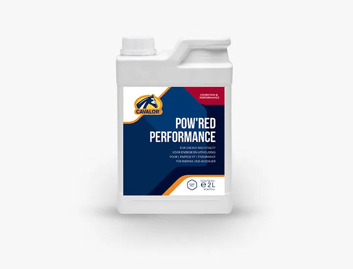 Pow'red Performance - 2 l (Dispo:0)