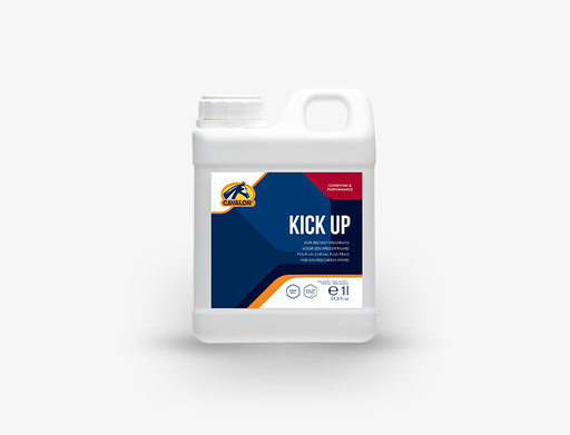 Kick Up - 1 l (Dispo:0)
