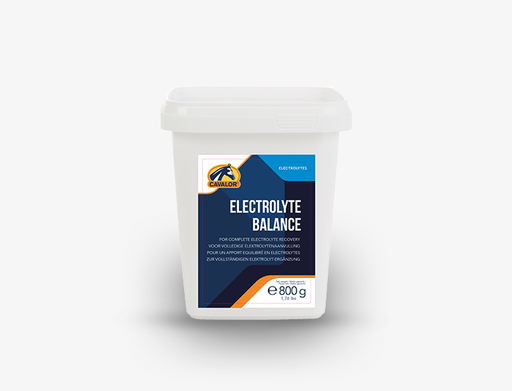 Electrolyte Balance - 800 g (Dispo:0)