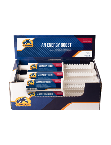 An Energy Boost 6 x - 60 g (Dispo:0)