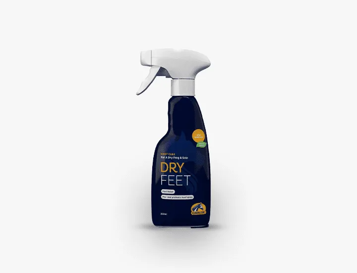 Dry Feet Natural - 250 ml (Dispo:0)