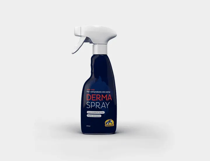 Derma Spray - 250 ml (Dispo:2)